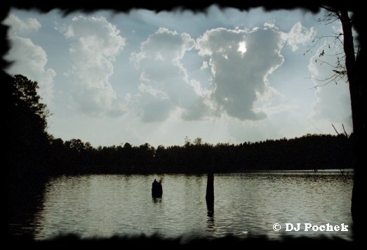 Watching the clouds on Boyd Pond...
	- Thanks for visiting OldDawgs.com
