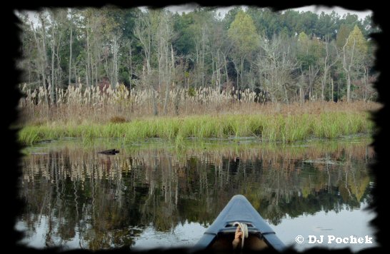 Boyd Pond...
	- Thanks for visiting OldDawgs.com