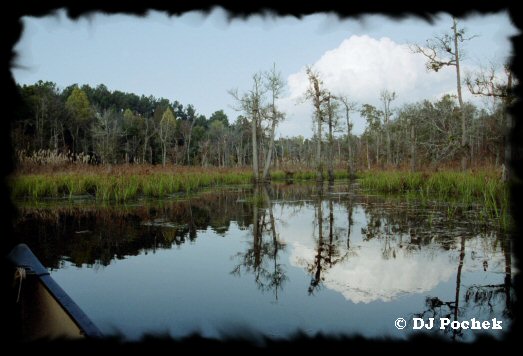 Reflections on Boyd Pond...
	- Thanks for visiting OldDawgs.com