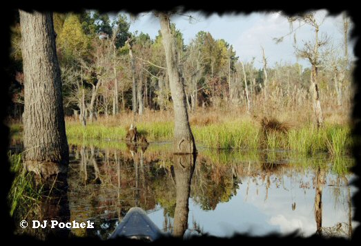 Boyd Pond...
	- Thanks for visiting OldDawgs.com
