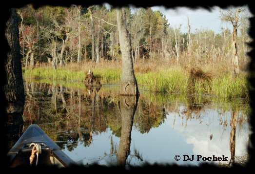 Boyd Pond...
	- Thanks for visiting OldDawgs.com