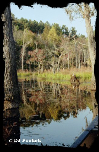 Boyd Pond...
	- Thanks for visiting OldDawgs.com