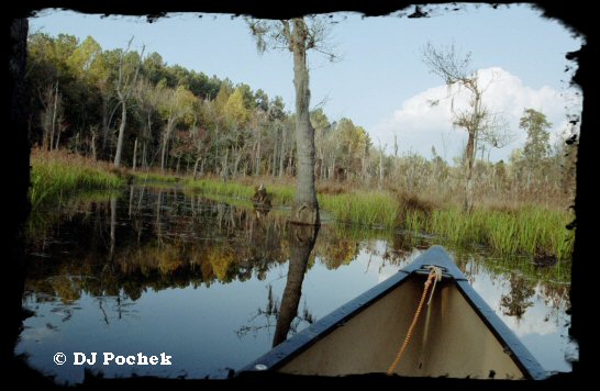 Canoeing on Boyd Pond...
	 - Thanks for visiting OldDawgs.com