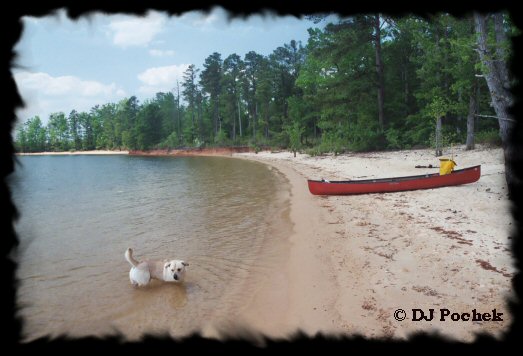 Enjoying a day at at the lake...
	- Thanks for visiting OldDawgs.com