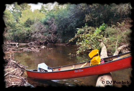 As Jimmy Buffet sings - 'We do it for the stories we could tell...'
	- Thanks for visiting OldDawgs.com