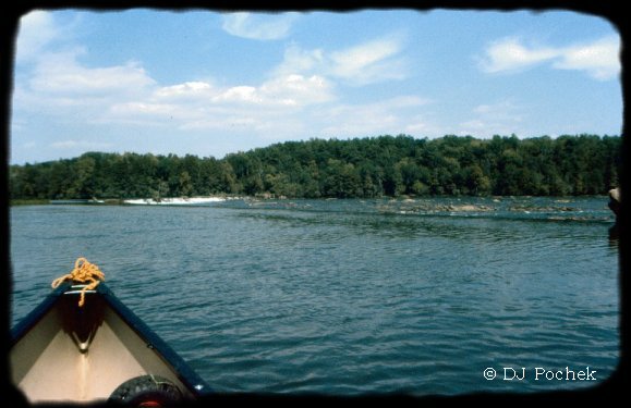 Above the Augusta Canal...
	- Thanks for visiting OldDawgs.com