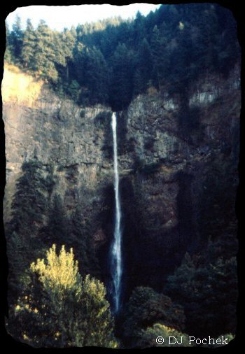 View of Multnomah Falls...
	 - Thanks for Visiting OldDawgs.com