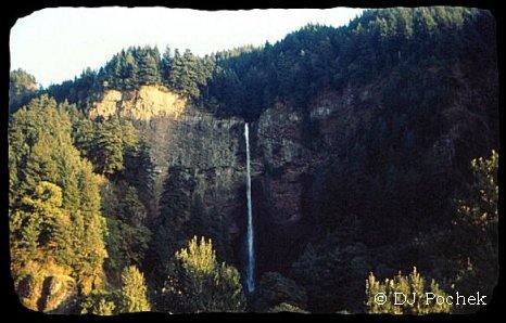 View of Multnomah Falls from the drivers seat...
	 -Thanks for visiting OldDawgs.com