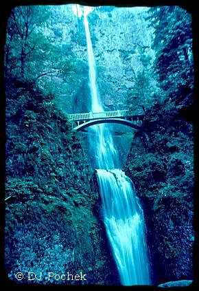 One of the lower falls at Multnomah Falls...
	 - Thanks for visiting OldDawgs.com