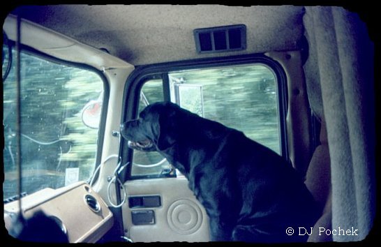 Look!!! There's a Waffle House at the next exit...
	  - Thanks for visiting OldDawgs.com