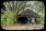 Click for our Potpourri Section...
	                Thanks for visiting OldDawgs.com