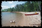 Click for our Canoeing Section...
	                Thanks for visiting OldDawgs.com