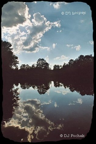 Reflections on a cloudy day...
	 - Thanks for visiting OldDawgs.com