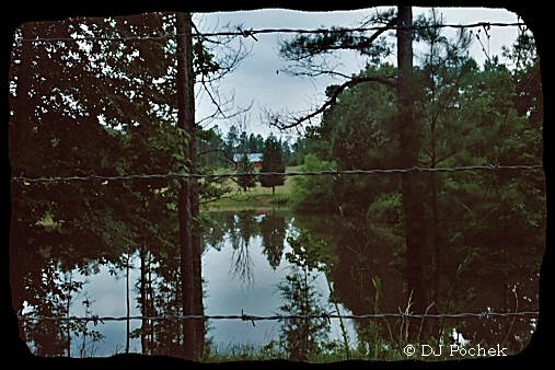 Reflections on a back road...
	 - Thanks for visiting OldDawgs.com