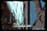 Click for Larger Photo...
	- Thanks for visiting OldDawgs.com