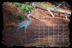 Click for our 'CALENDARS' section..
	- Thanks for visiting OldDawgs.com