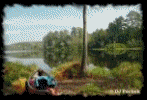 Click for our '35mm PHOTOGRAPHY' section...
	- Thanks for visiting OldDawgs.com